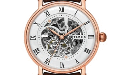 Your Complete Guide to Choosing the Perfect Timex E Class Watch