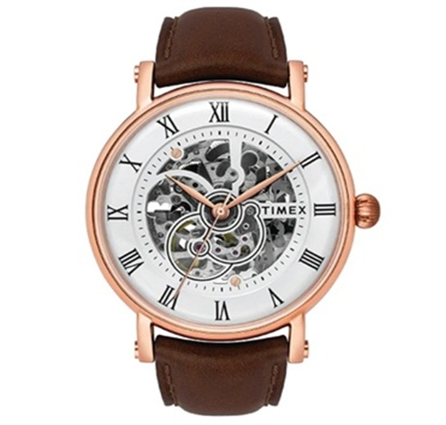 Your Complete Guide to Choosing the Perfect Timex E Class Watch
