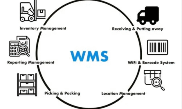 What Is Inventory Management and How Does a WMS Make It More Efficient?