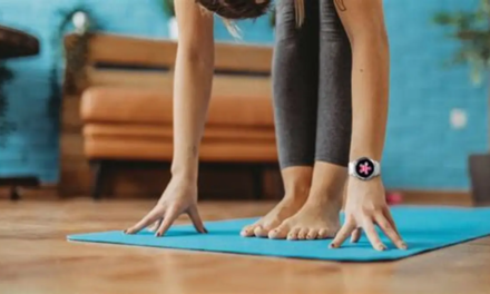 Google Fitbit Air Fitness Tracker: Smart Health Monitoring for Everyday Wellness