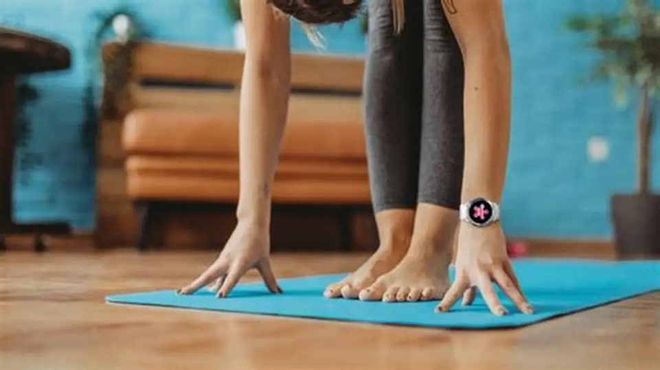Google Fitbit Air Fitness Tracker: Smart Health Monitoring for Everyday Wellness