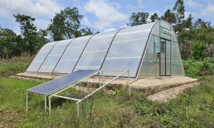 Solar Dryer: An Eco-Friendly Solution for Sustainable Food Preservation