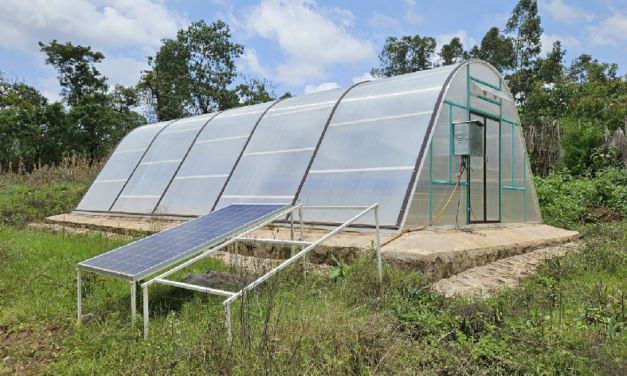 Solar Dryer: An Eco-Friendly Solution for Sustainable Food Preservation