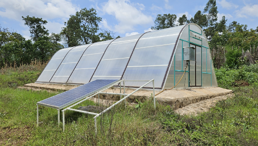 Solar Dryer: An Eco-Friendly Solution for Sustainable Food Preservation